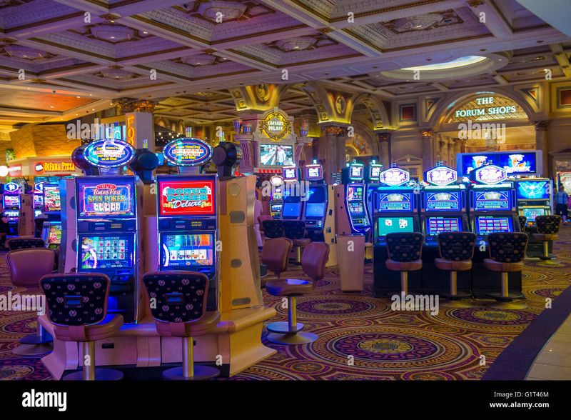 Rooster Bet Casino Site Evaluation 2026 Rooster Bet Casino Site Evaluation 2026